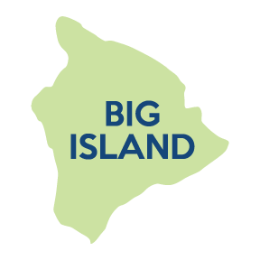 Big Island map
